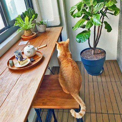Peti Dek Kayu Serbaguna Lantai Waterproof Untuk Penggunaan Luar Ruang
